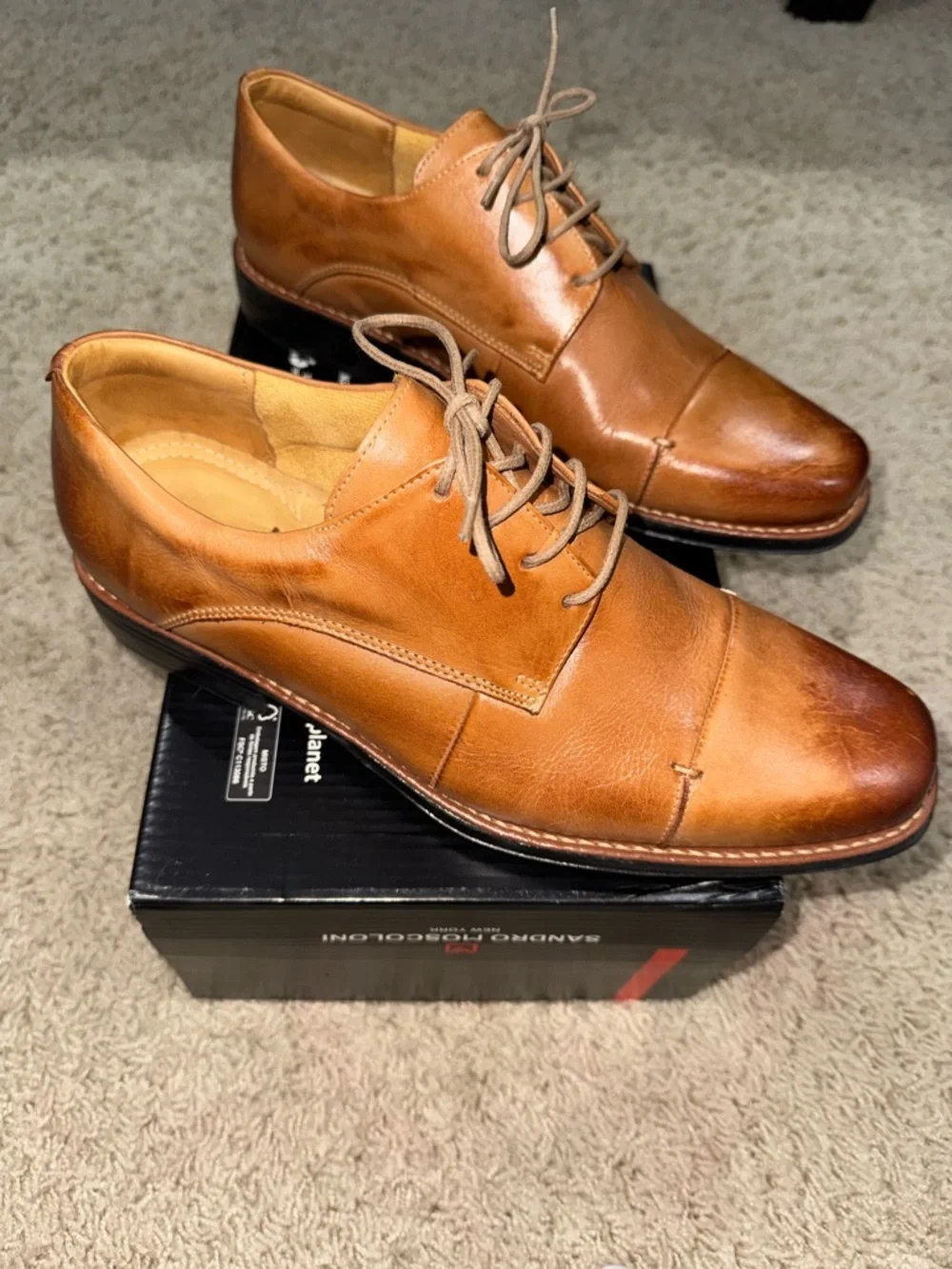 Sandro Moscoloni Men's Cognac Leather Cap-Toe Derby